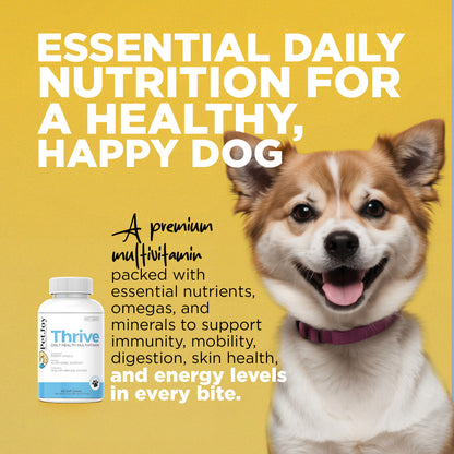 Thrive Daily Multivitamin