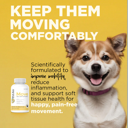 Move Daily Joint Supplement