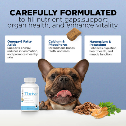 Thrive Daily Multivitamin
