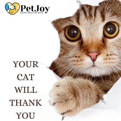 Advanced Daily Multivitamin for Cats
